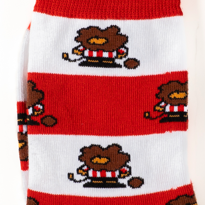 Calcetines oficiales Harrotxu...