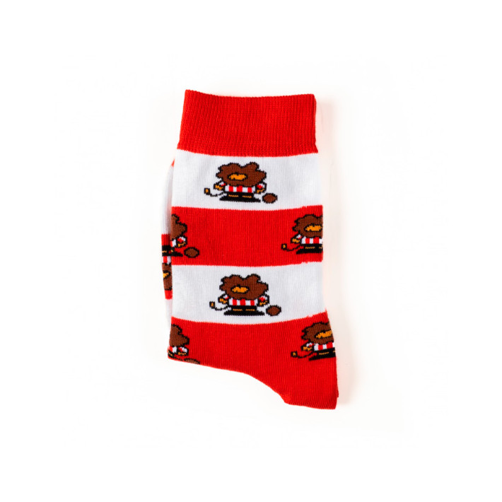 Calcetines oficiales Harrotxu...