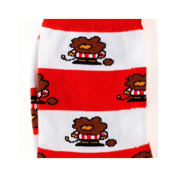 Calcetines oficiales Harrotxu...