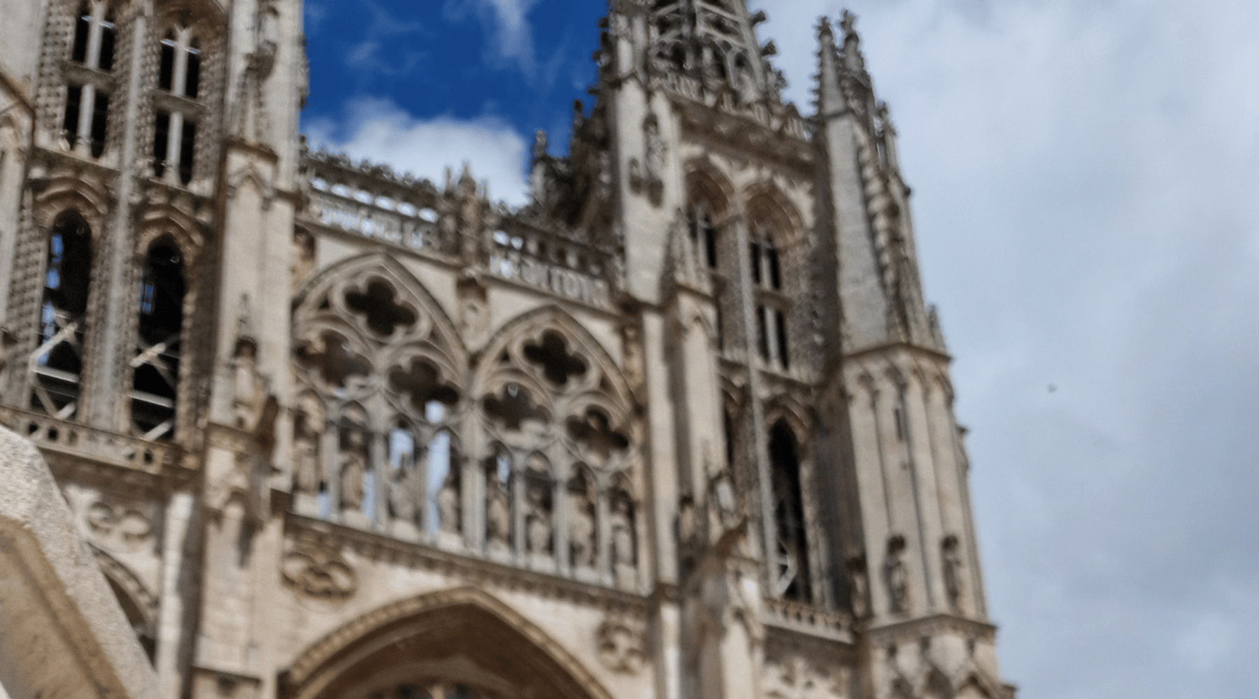 Colección Burgos